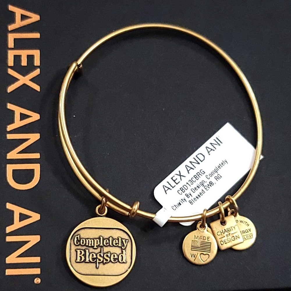 Alex And Ani Completely Blessed Charm Bracelet